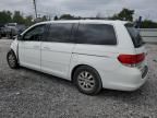 2009 Honda Odyssey EXL