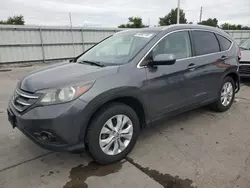 Honda salvage cars for sale: 2013 Honda CR-V EXL