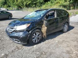 Salvage cars for sale at Marlboro, NY auction: 2012 Honda CR-V EXL