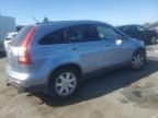 2007 Honda CR-V EXL