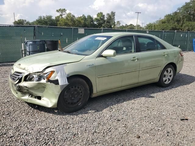 2009 Toyota Camry Hybrid