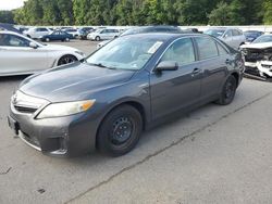 Toyota salvage cars for sale: 2011 Toyota Camry Hybrid