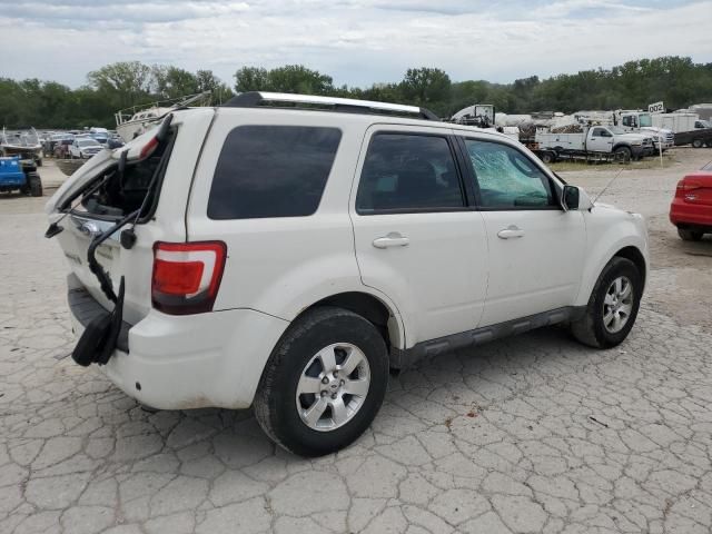 2009 Ford Escape Limited