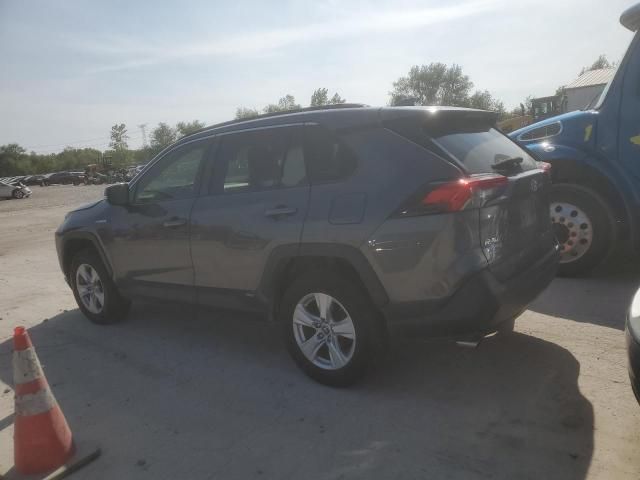 2019 Toyota Rav4 XLE