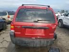 2005 Ford Escape XLT