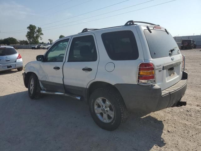 2005 Ford Escape XLT