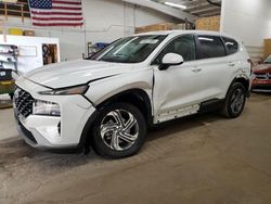 Salvage cars for sale at Ham Lake, MN auction: 2023 Hyundai Santa FE SE