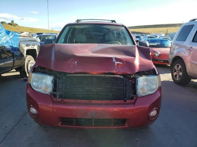 2008 Ford Escape XLT