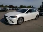 2021 Lexus ES 300H