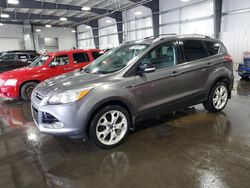 Salvage cars for sale at Ham Lake, MN auction: 2014 Ford Escape Titanium