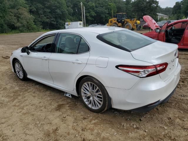 2019 Toyota Camry Hybrid