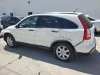 2007 Honda CR-V EX