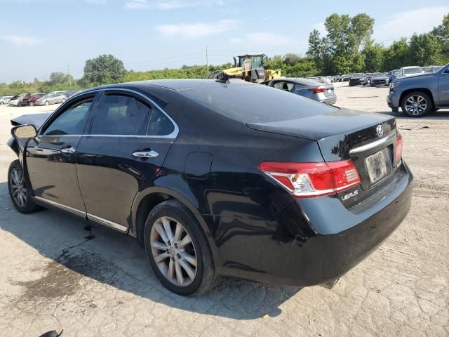 2010 Lexus ES 350