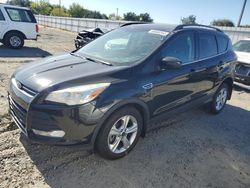 Salvage cars for sale at Sacramento, CA auction: 2015 Ford Escape SE