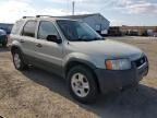 2004 Ford Escape XLT