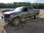 2009 Toyota Tacoma Double Cab