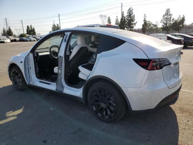 2020 Tesla Model Y