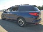 2022 Honda Odyssey EXL