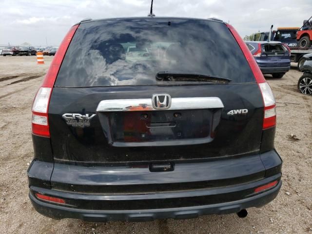 2010 Honda CR-V EXL