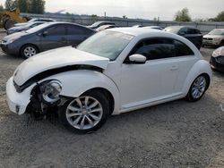 Volkswagen salvage cars for sale: 2013 Volkswagen Beetle