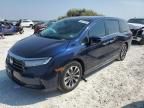 2024 Honda Odyssey EXL