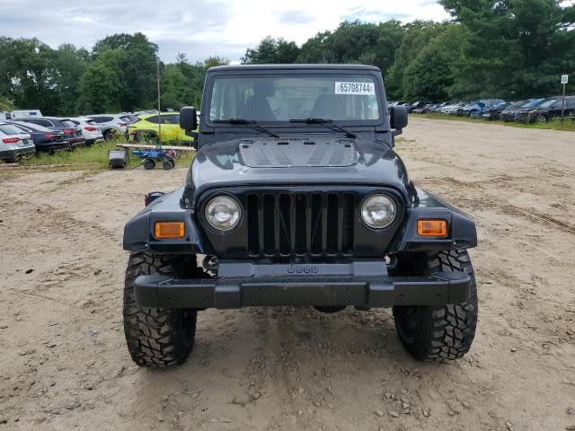 2002 Jeep Wrangler / TJ X