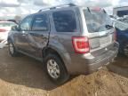 2010 Ford Escape Limited