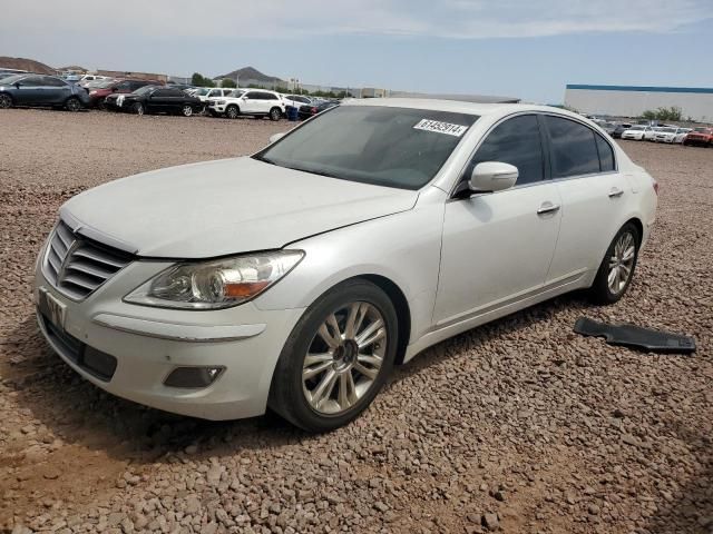 2010 Hyundai Genesis 3.8L