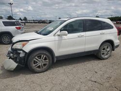 Honda salvage cars for sale: 2010 Honda CR-V EXL