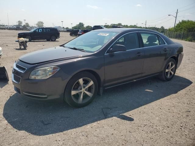 2011 Chevrolet Malibu 1LT