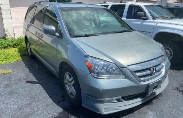 2005 Honda Odyssey EXL