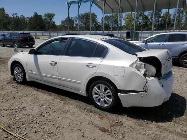 2010 Nissan Altima Base