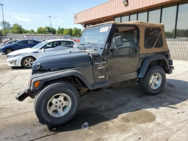 1999 Jeep Wrangler / TJ Sport