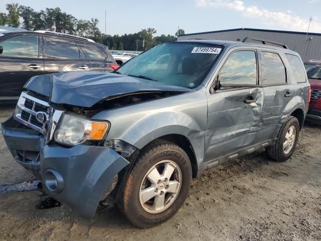 2011 Ford Escape XLT