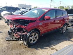 Salvage cars for sale at Chicago Heights, IL auction: 2015 Ford Escape SE