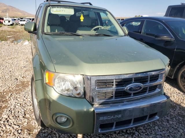 2008 Ford Escape HEV