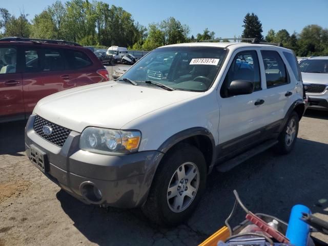 2005 Ford Escape XLT