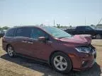 2019 Honda Odyssey EXL