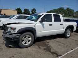 Salvage cars for sale at Moraine, OH auction: 2011 Dodge Dakota SLT