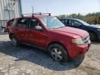 2009 Ford Escape XLS