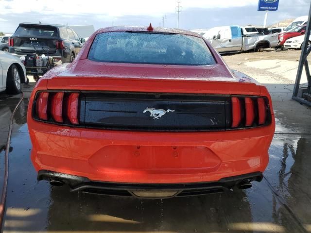 2023 Ford Mustang