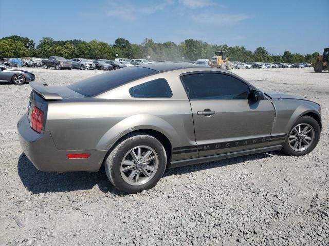 2005 Ford Mustang