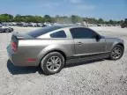 2005 Ford Mustang