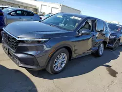 Salvage cars for sale at Martinez, CA auction: 2023 Honda CR-V EXL