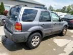 2007 Ford Escape XLT