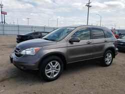 Honda salvage cars for sale: 2010 Honda CR-V EXL