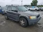 2003 Ford Escape XLT