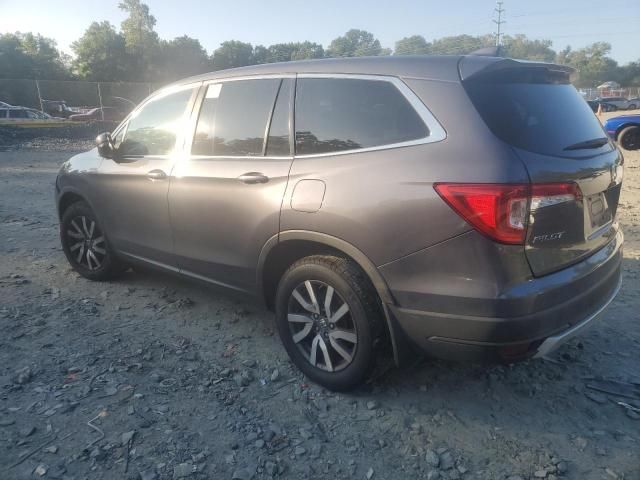 2019 Honda Pilot EXL