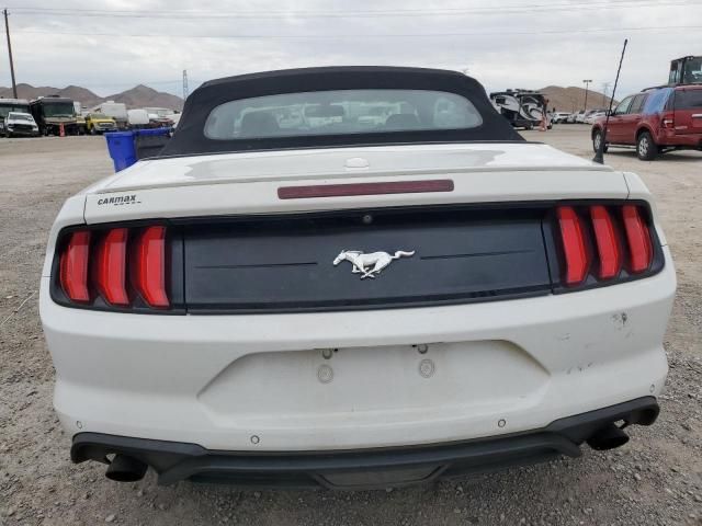 2019 Ford Mustang