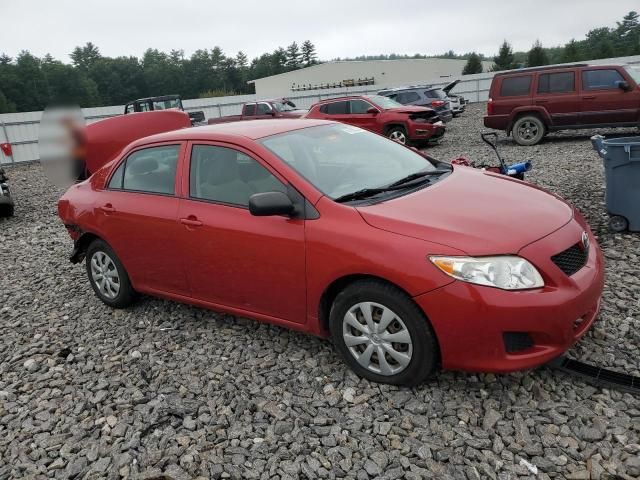 2009 Toyota Corolla Base